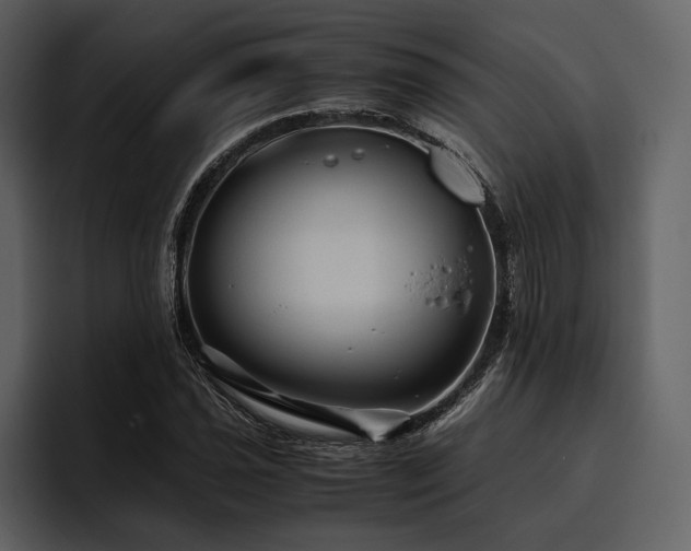 X0000095941021200801111325