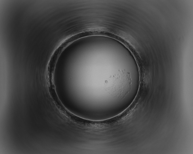 X0000095941022200801111325