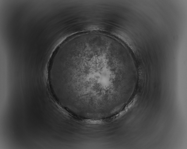 X0000095941023200801111325