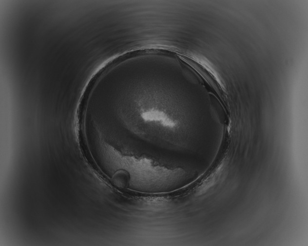 X0000095941024200801111326