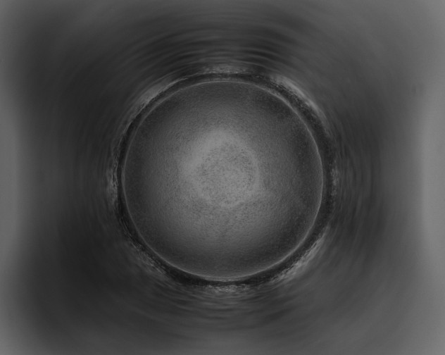X0000095941025200801111326