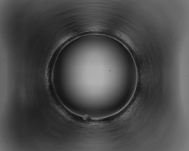 X0000095941026200801111326