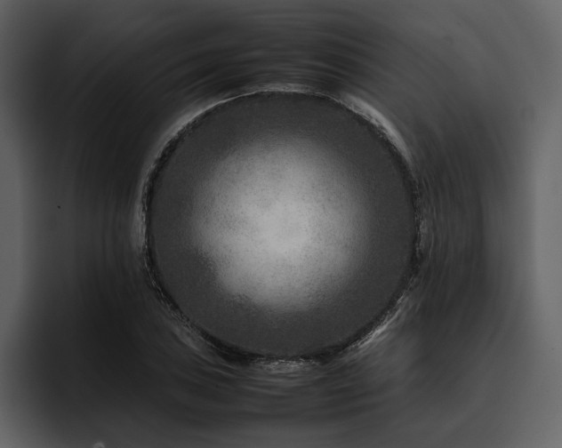 X0000095941027200801111326