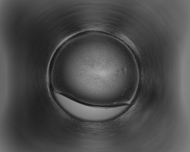 X0000095941028200801111326