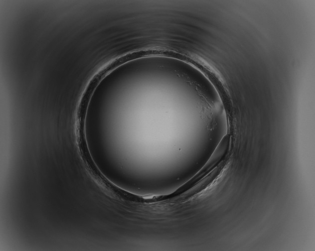 X0000095941029200801111326