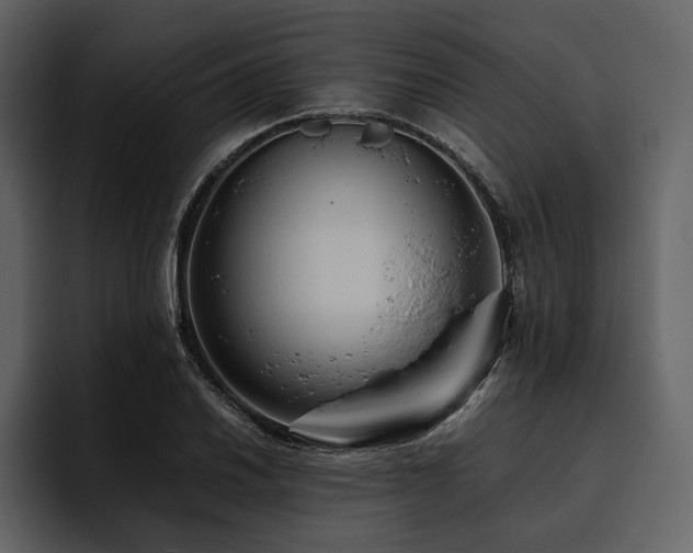 X0000095941030200801111326