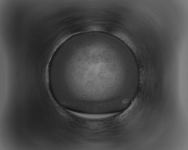 X0000095941031200801111326