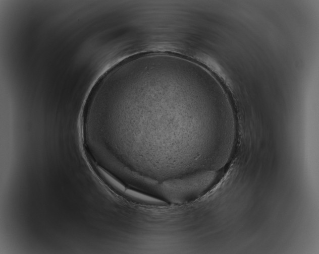 X0000095941032200801111326