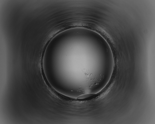 X0000095941033200801111326