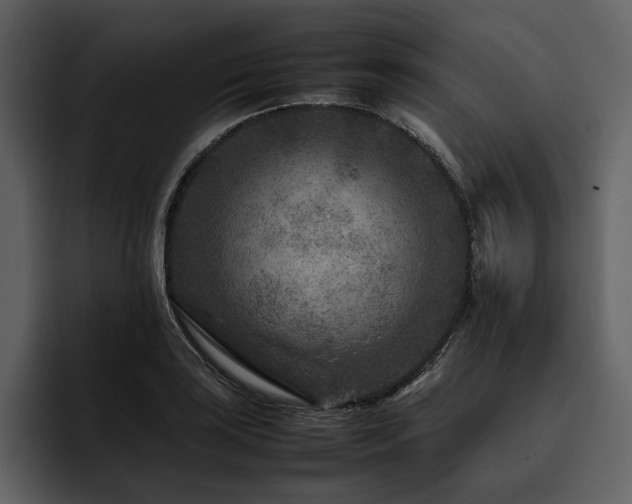 X0000095941035200801111326