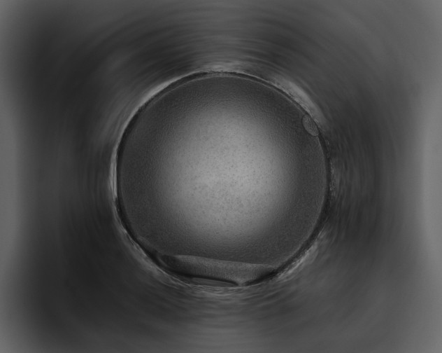 X0000095941036200801111326