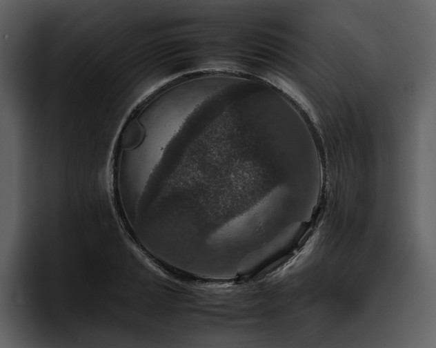 X0000095941037200801111326