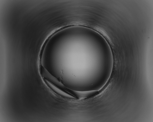 X0000095941040200801111326