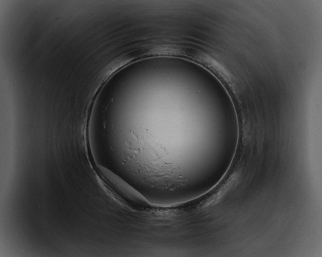 X0000095941041200801111326