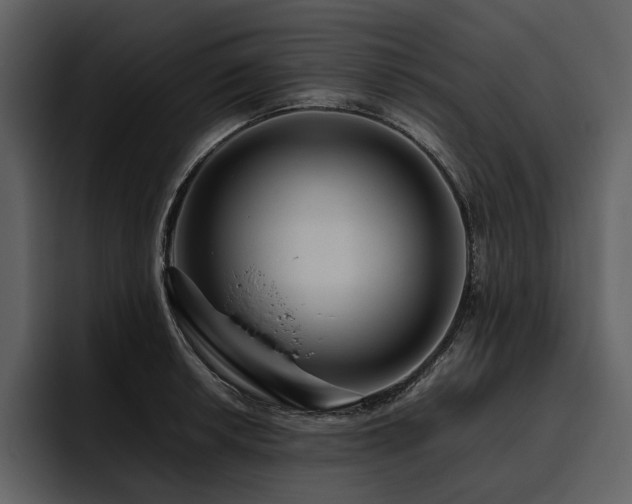 X0000095941042200801111326