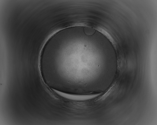 X0000095941043200801111326