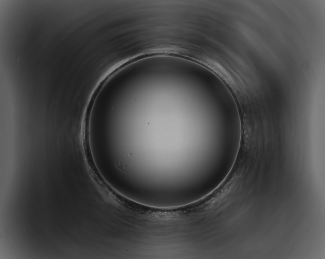 X0000095941044200801111326