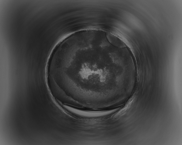 X0000095941045200801111326