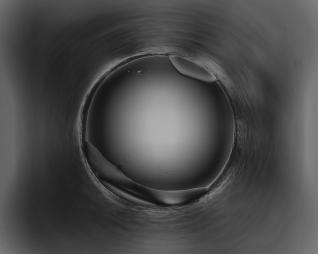 X0000095941046200801111326