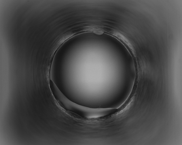X0000095941049200801111326