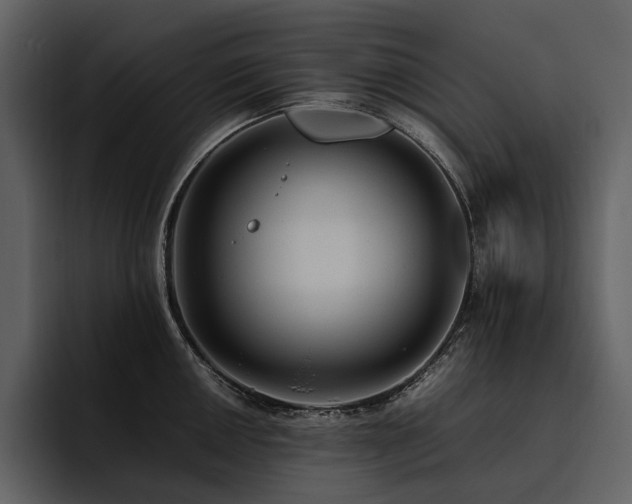 X0000095941050200801111326