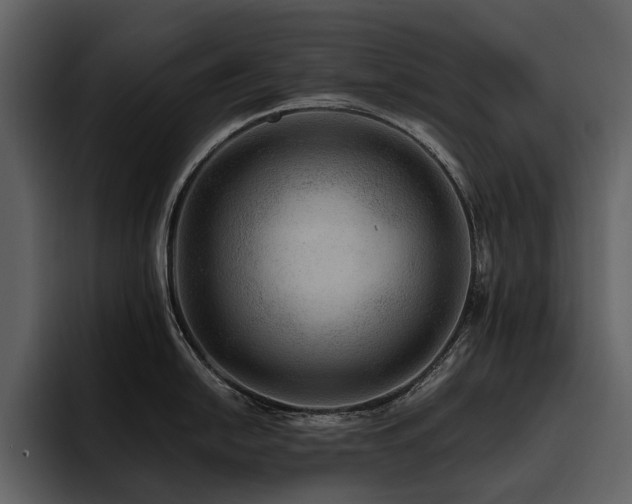 X0000095941054200801111326