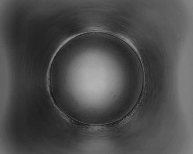 X0000095941056200801111326