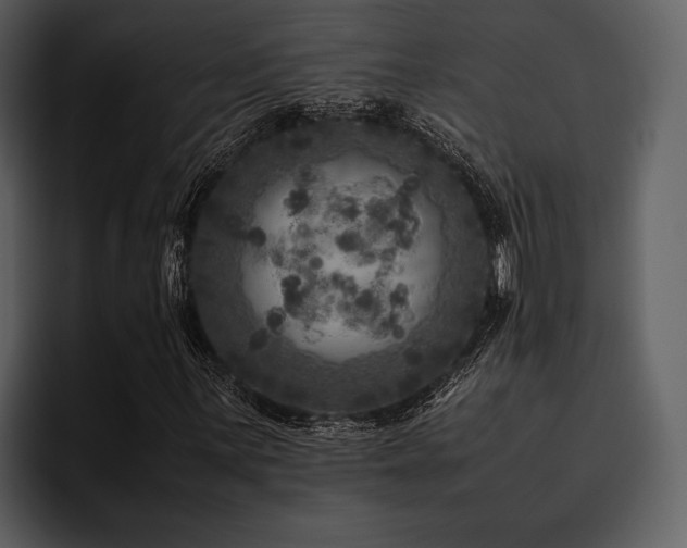 X0000095941059200801111325