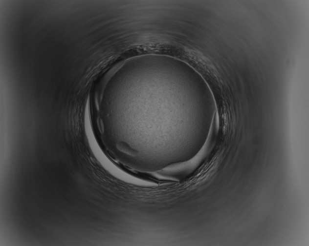 X0000095941060200801111325