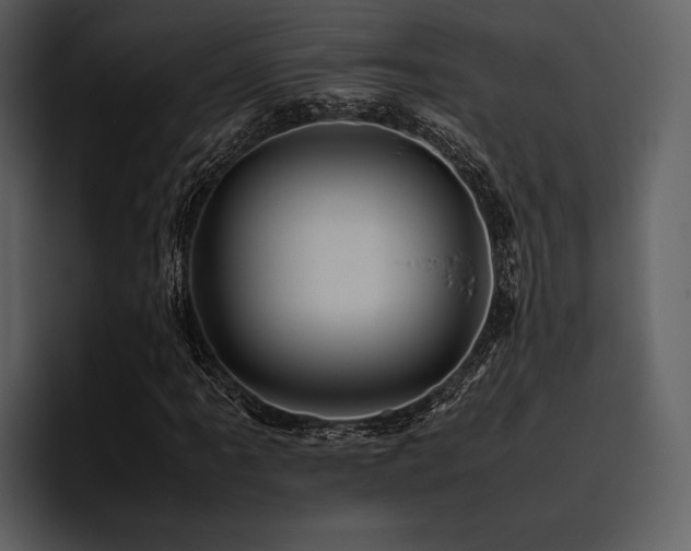 X0000095941061200801111325