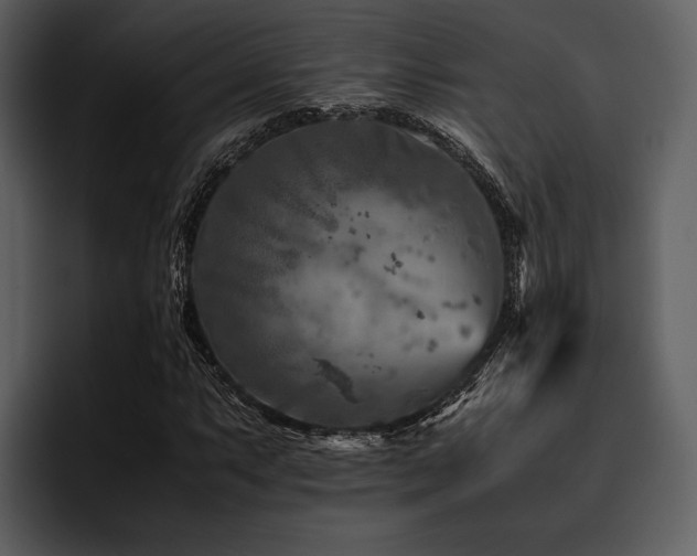 X0000095941063200801111325