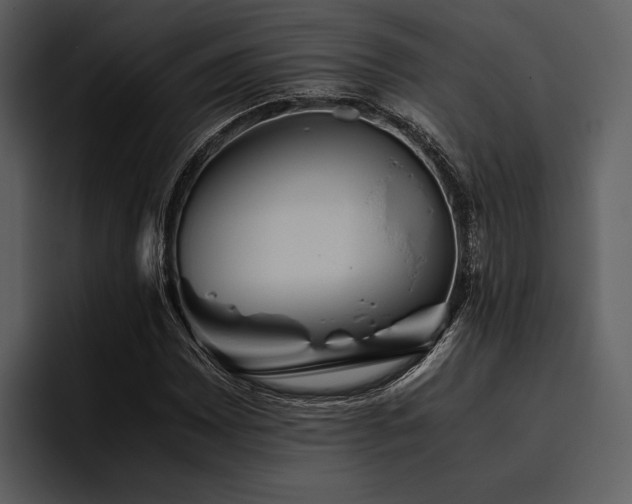 X0000095941065200801111325