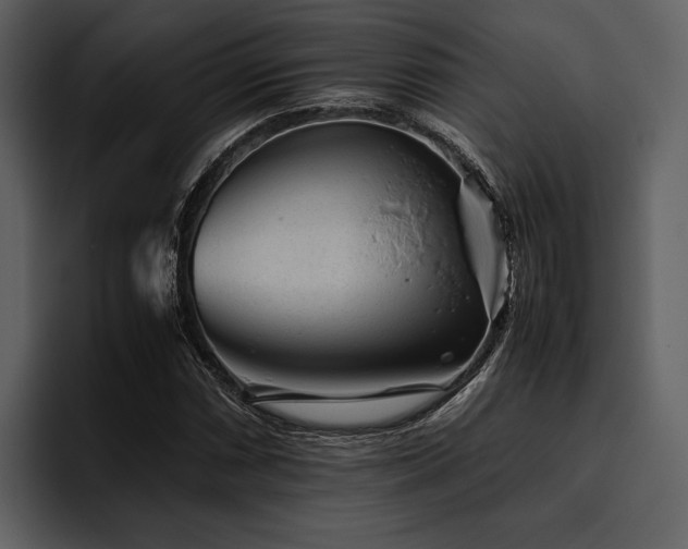 X0000095941066200801111325