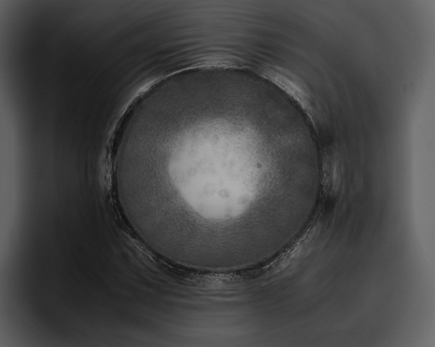 X0000095941067200801111325