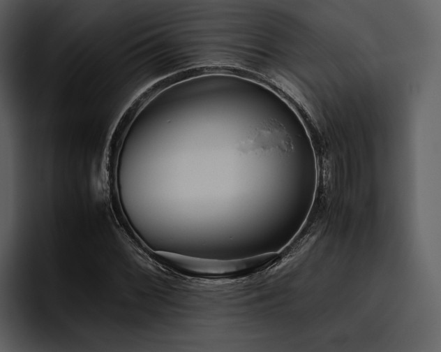 X0000095941068200801111325