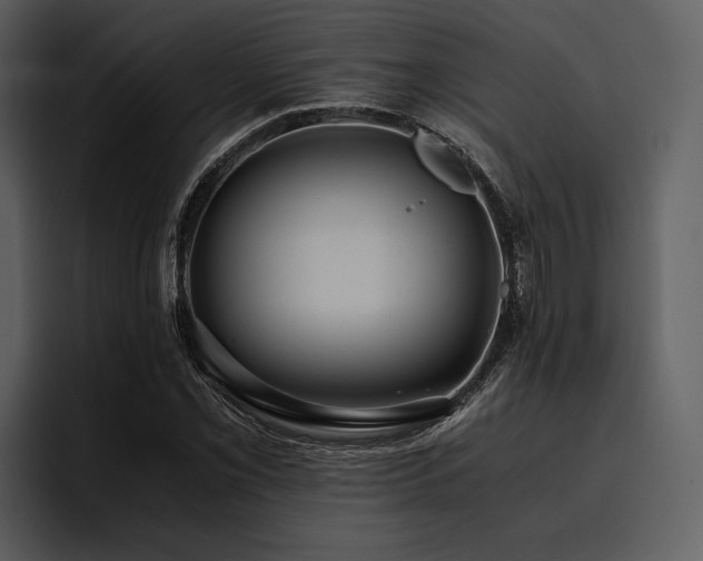 X0000095941069200801111325