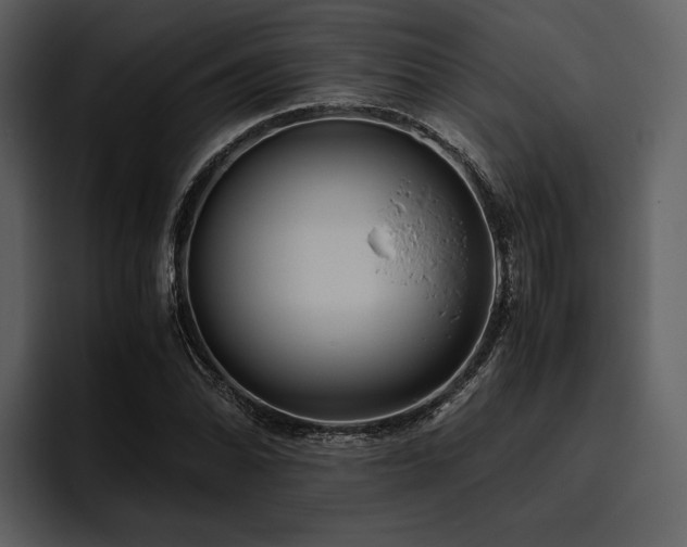 X0000095941070200801111325