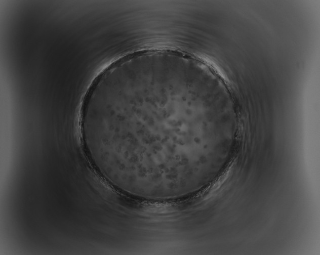 X0000095941071200801111325