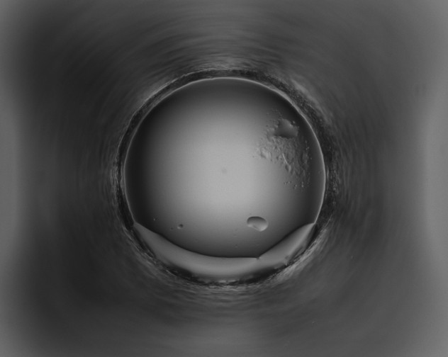 X0000095941073200801111325