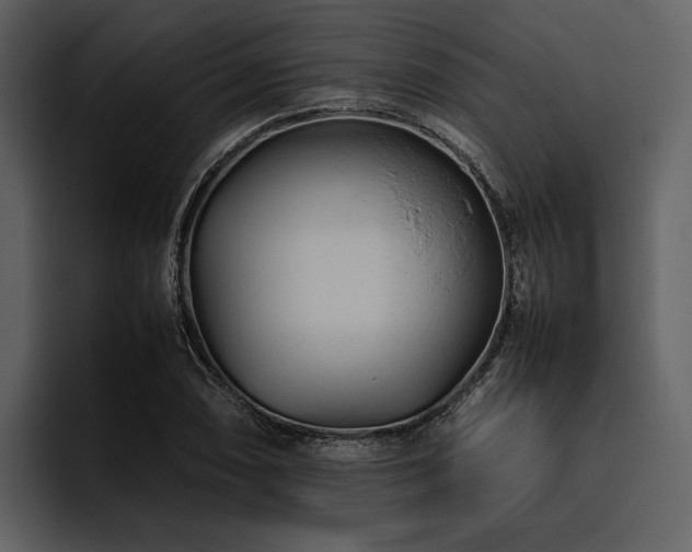 X0000095941074200801111325