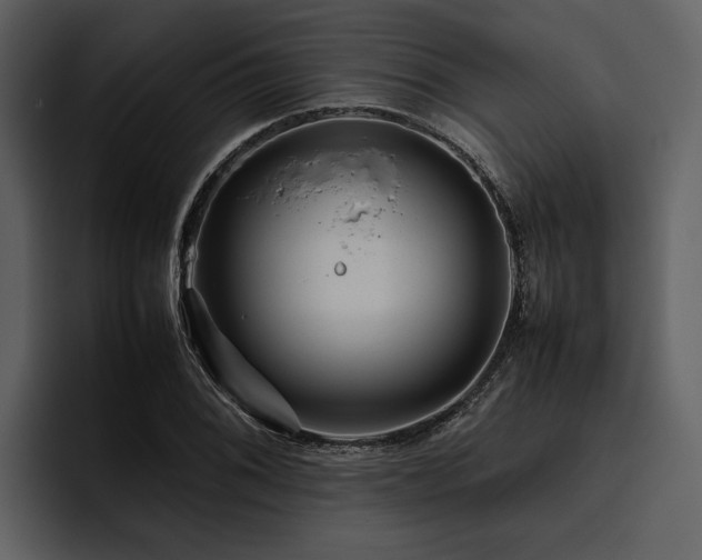 X0000095941076200801111325