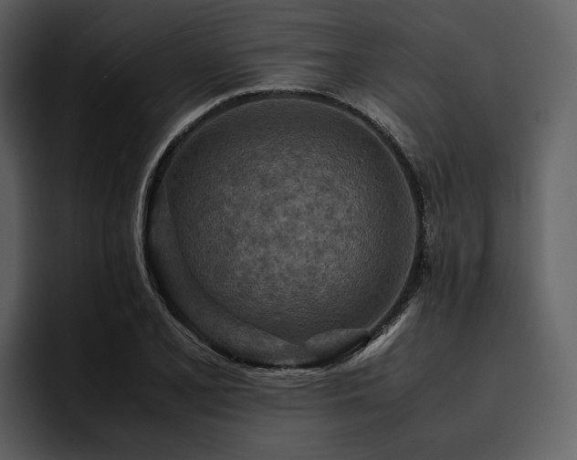 X0000095941077200801111325