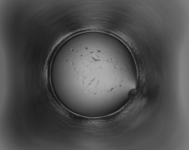 X0000095941078200801111325