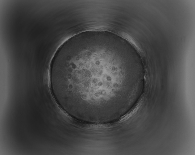 X0000095941079200801111325