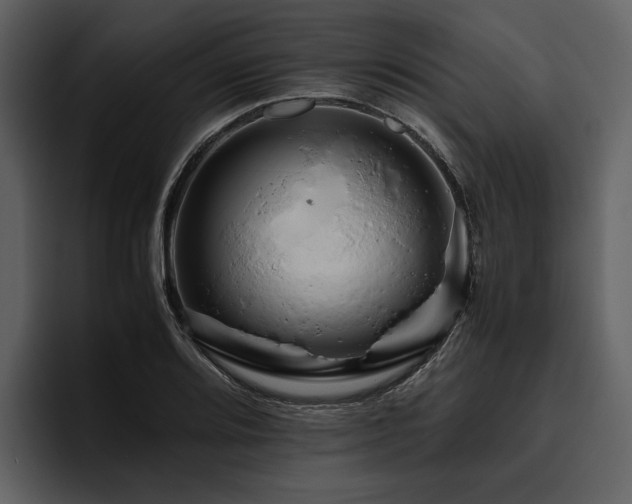 X0000095941080200801111325