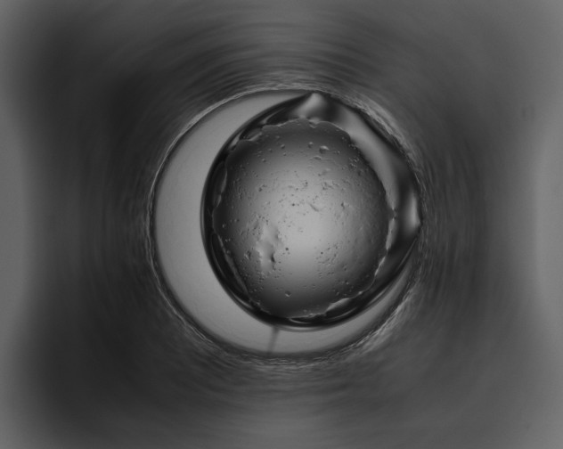 X0000095941081200801111325