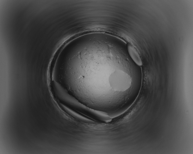 X0000095941082200801111325