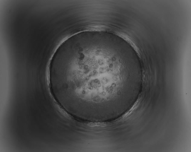X0000095941083200801111325