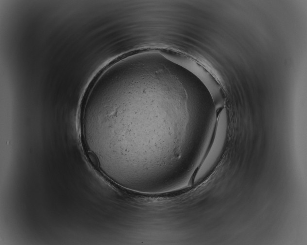 X0000095941084200801111325
