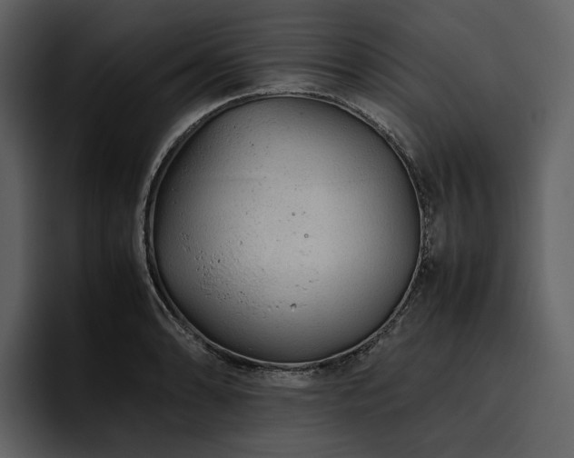 X0000095941086200801111325